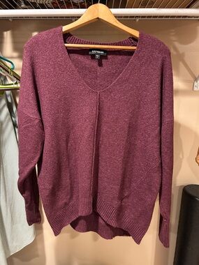 Express Plum V-Neck Sweater